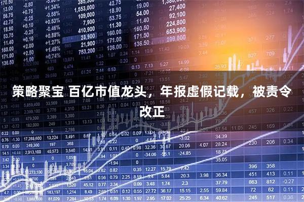 策略聚宝 百亿市值龙头，年报虚假记载，被责令改正